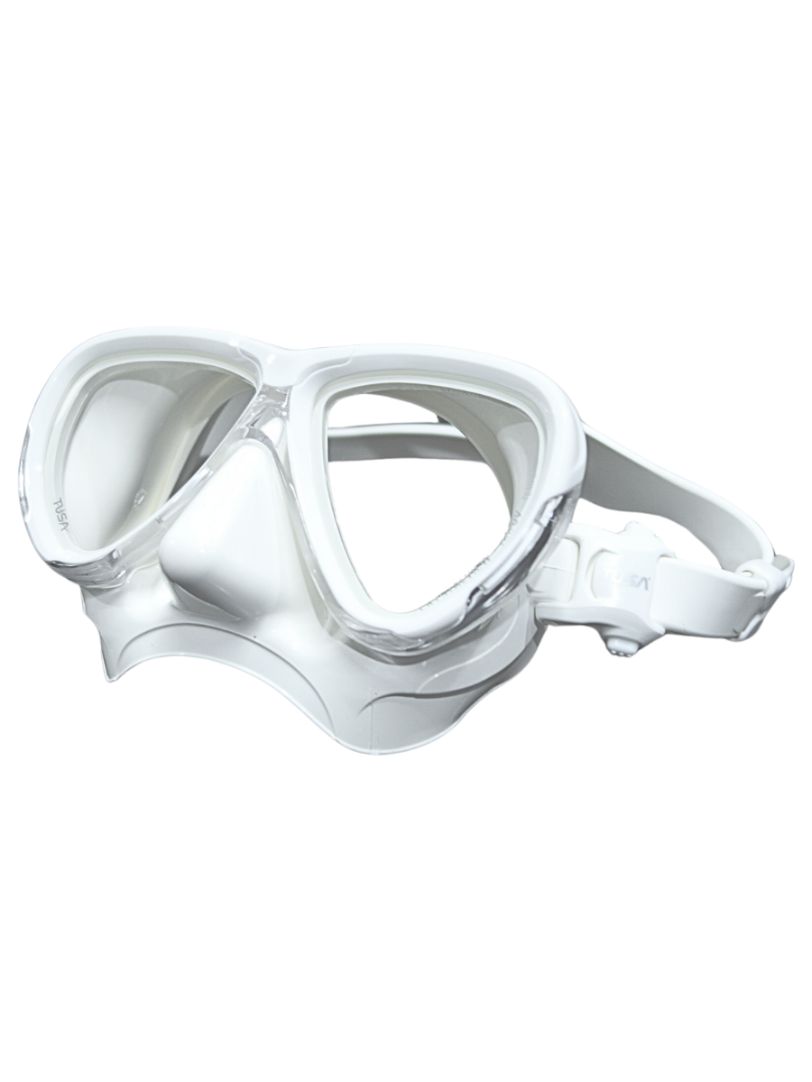 Intega Pro Mask